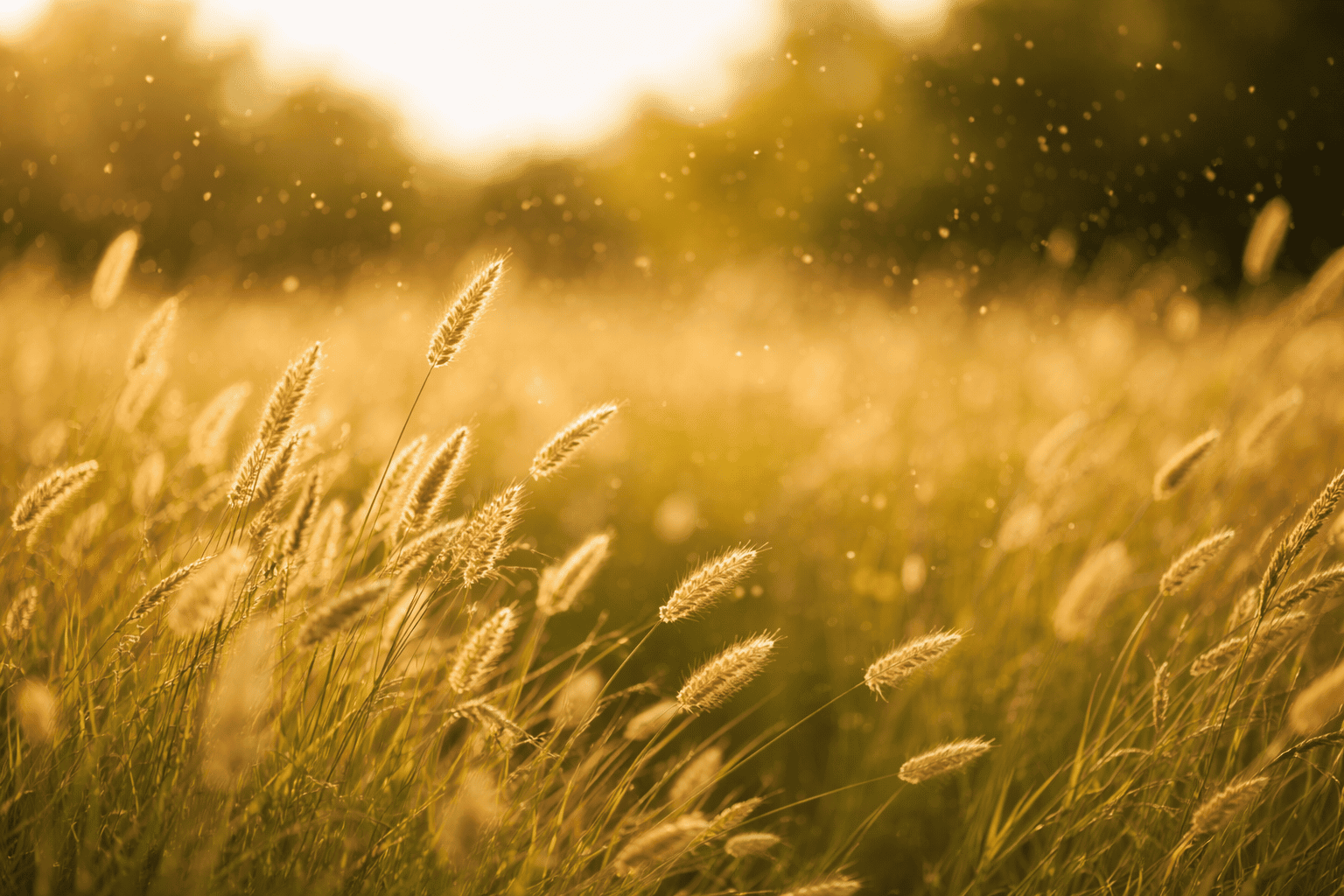 Polen primavera 2026: por qué será una temporada intensa